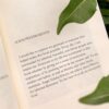 Ruminative Words: A Poetry Collection