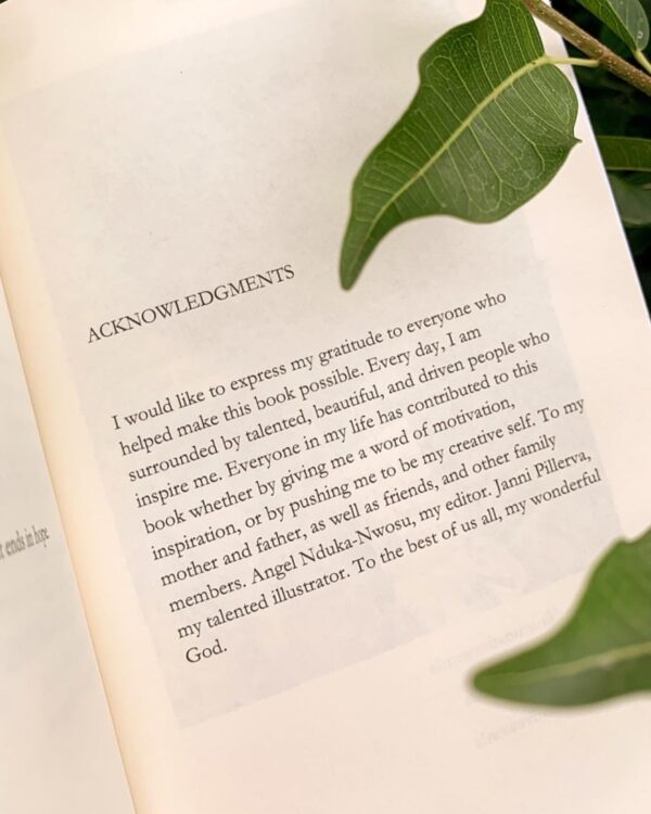 Ruminative Words: A Poetry Collection