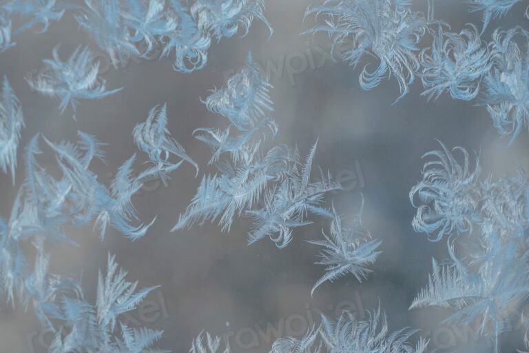 Free snow ice crystals closeup